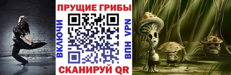Псилоцибиновые грибы мицелий  дарнет шоп  Приволжск 
