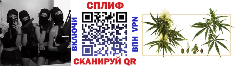 Бошки марихуана план  что такое   Приволжск 